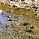 배내미낚시터 이미지