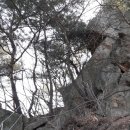 봉양1통 이미지