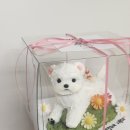 이야(YIYA) 이미지