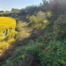 상주탑공인중개사사무소 이미지