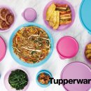 타파웨어 이미지