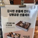 싶빵공장세종