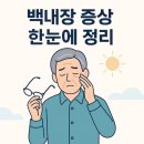 일상의 생활요리 (야간) 이미지