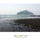 숲섬민박 이미지