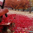 산장의 여인 이미지