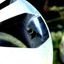 사우타이어 이미지