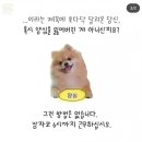 속보) 계엄령 선포로 내일 출근 불가능한 기업 리스트 이미지