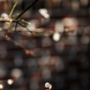 금호동주민센터 이미지