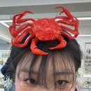 (주)제윤 | 2026/01/23