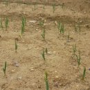 액비골(2) 이미지