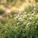 오늘의 선물 이미지