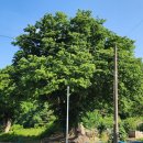 대후보건진료소 이미지