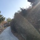 우산공원길 이미지