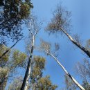 원주시건강문화센터 이미지