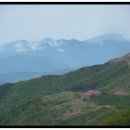 제 311차 지리산 천왕봉1915.4m /한신계곡산행(철쭉제) 이미지