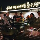 왈스반려견교육