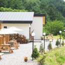 모더니컬 이미지