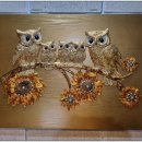 오늘 한점 벌교점 이미지