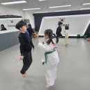 메가점핑(Mega Jumping) 이미지