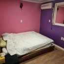 썬파크텔 이미지