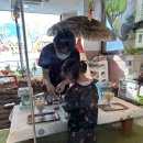 전주 에코시티 플레이랩 후기