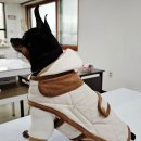 펫의류&펫소품 만들기 이미지