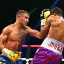 Y3 복싱클럽 이미지