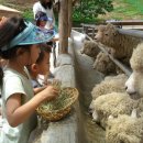 남매목장 이미지