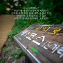 11월 25일(화) 남해의 비경을 품은 창원 저도 비치로드 트래킹+마산 어시장.♡50,000원.조중식(찰밥). 36석리무진운행 이미지