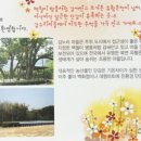 감누리마을