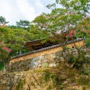용평동 용호정 | 밀양가볼만한곳 월연정, 월연터널, 용호정, 오연정, 베롱나무꽃 명소