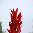 다솔황토 이미지