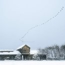 유리농원 이미지