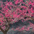 남순천의원 이미지