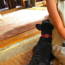 옥수민박 이미지