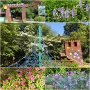 한택식물원과 대장금 테마파크의 6월 풍경(6/3). 이미지