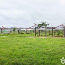 용천리 곡강천 이미지