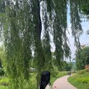 경기도 수원시 장안구 창훈로80번길 이미지