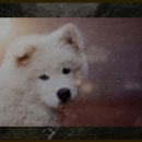 금강호관광지 이미지