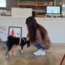 스트레인지맨션 이미지