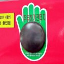 주유전자 이미지