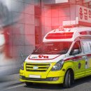 김삿갓면-42 이미지