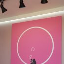 영화초등학교 | 울주군 카페 : 언양 탚옼버블 - 초딩 핫플!