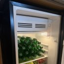 스테이 시래 이미지