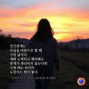 그리스도의 피. 사어안락 이미지