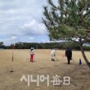 새(고경) 이미지