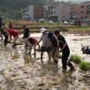 신지농장 이미지