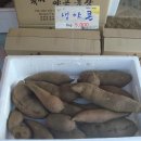곽씨네야콘