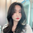 유림팔레트 이미지