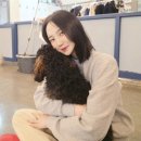 혼자두면 장판뜯어서 차린 개카페 이미지